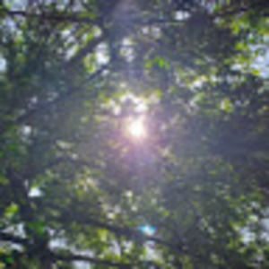 Meet your Posher, Kristina